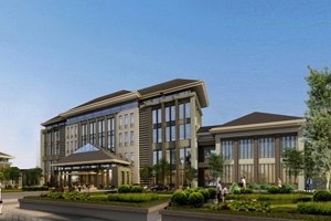 ������Ƶ�